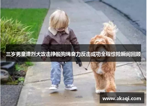 三岁男童遭烈犬攻击挣脱狗绳奋力反击成功全程惊险瞬间回顾